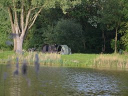 Competities HSV Alfheim